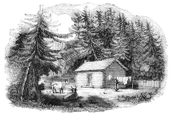 idyllic log cabin1.jpg